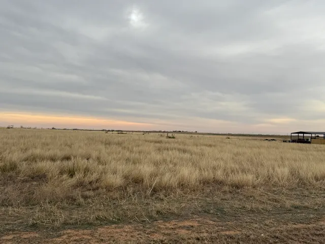 Front exterior — N F M 400, Idalou, TX 79329