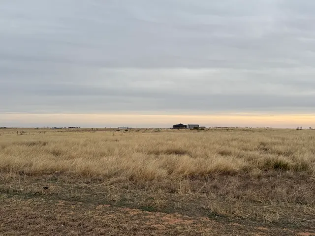 Photo 3 — N F M 400, Idalou, TX 79329