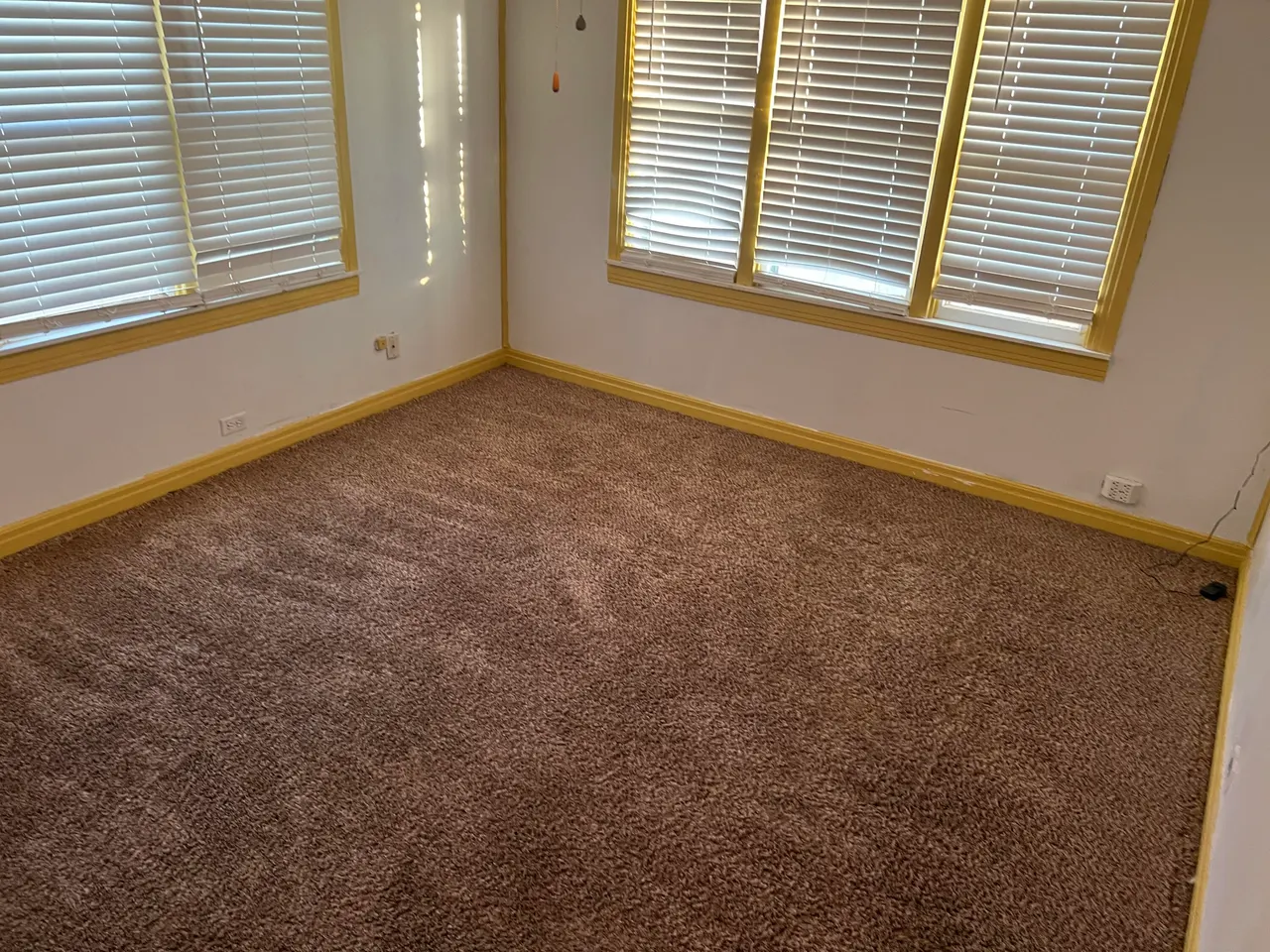 Photo 10 — 203 NE Alpine, Plainview, TX 79072