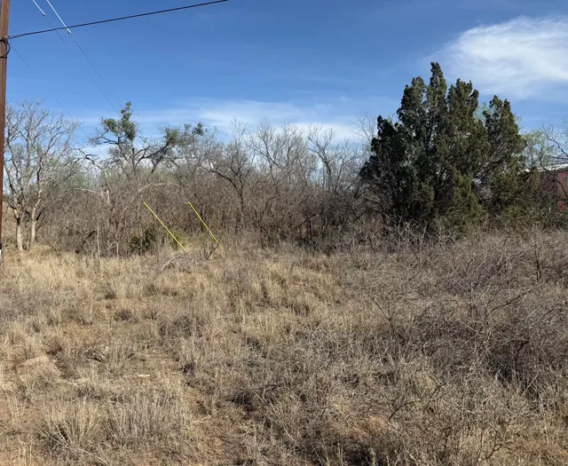 Photo 3 — RIO BRAZOS ESTATES-2, LOT 95, Snyder, TX 79549