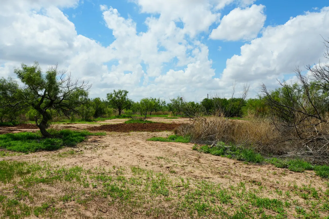 Photo 6 — AB 304 SEC 1225 EL & RR 24.138 ACRES BLK 11 24.138 ACRES, Post, TX 79356