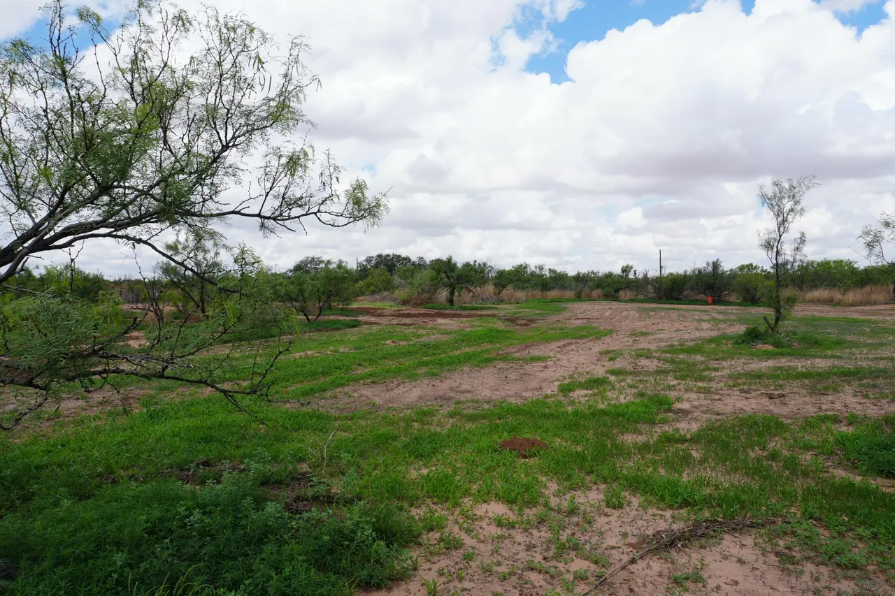 Photo 7 — AB 304 SEC 1225 EL & RR 24.138 ACRES BLK 11 24.138 ACRES, Post, TX 79356