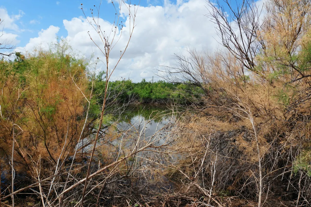 Front exterior — AB 304 SEC 1225 EL & RR 24.138 ACRES BLK 11 24.138 ACRES, Post, TX 79356