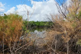 Sold home at AB 304 SEC 1225 EL & RR 24.138 ACRES BLK 11 24.138 ACRES