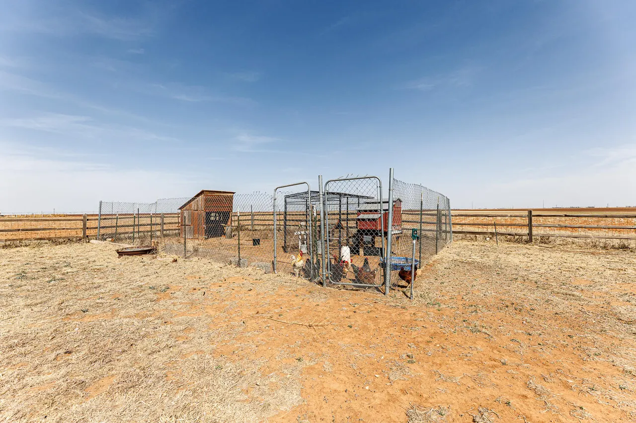 Photo 55 — 15308 N County Road 2600, Lubbock, TX 79403