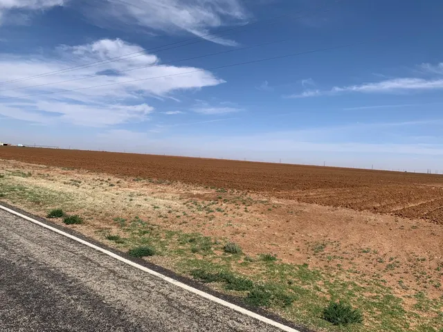 Photo 6 — FM 41, Ropesville, TX 79358