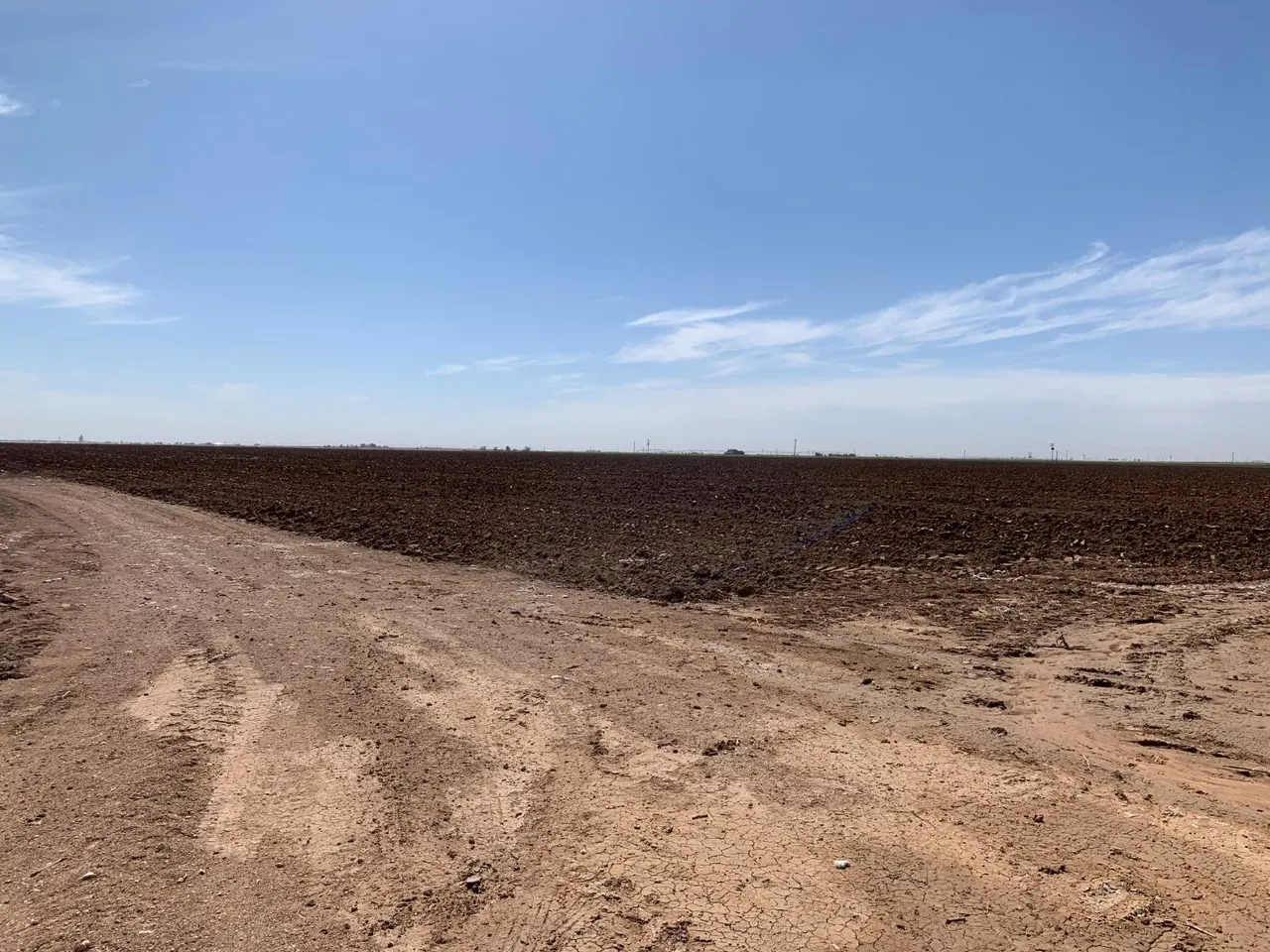 Photo 8 — 4083 Hawk Road, Ropesville, TX 79358