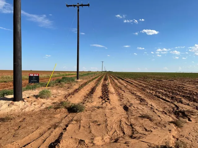 Photo 2 — Dove, Ropesville, TX 79358