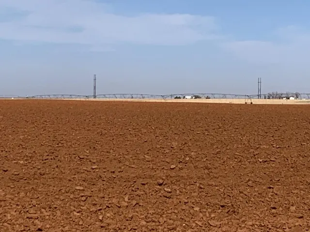 Photo 5 — Dove, Ropesville, TX 79358