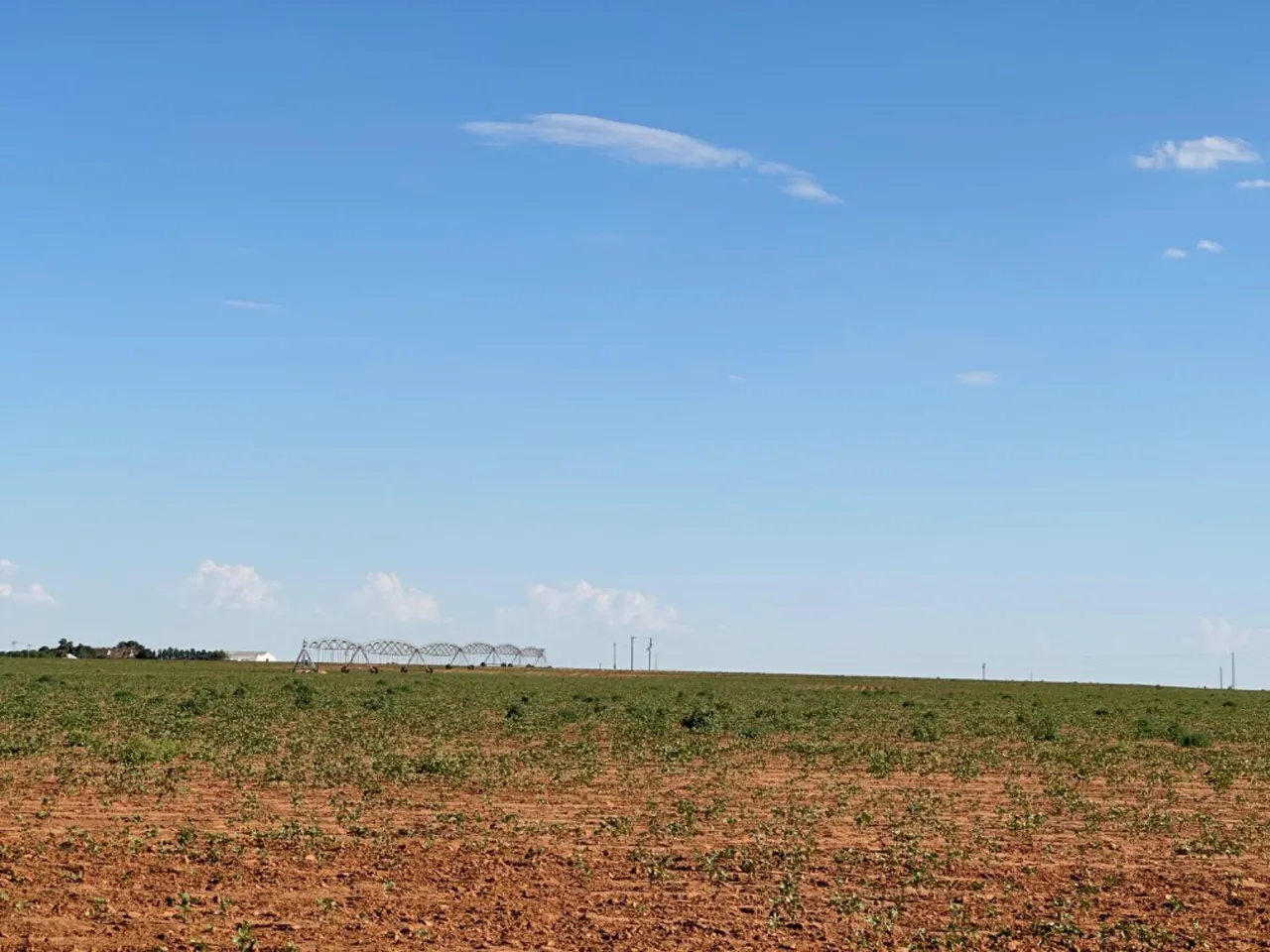 Photo 12 — Dove, Ropesville, TX 79358