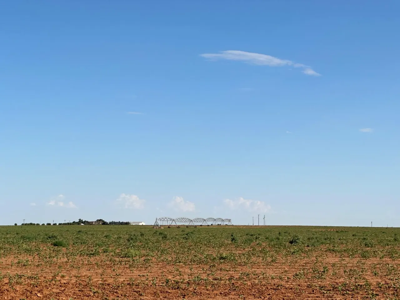 Photo 14 — Dove, Ropesville, TX 79358