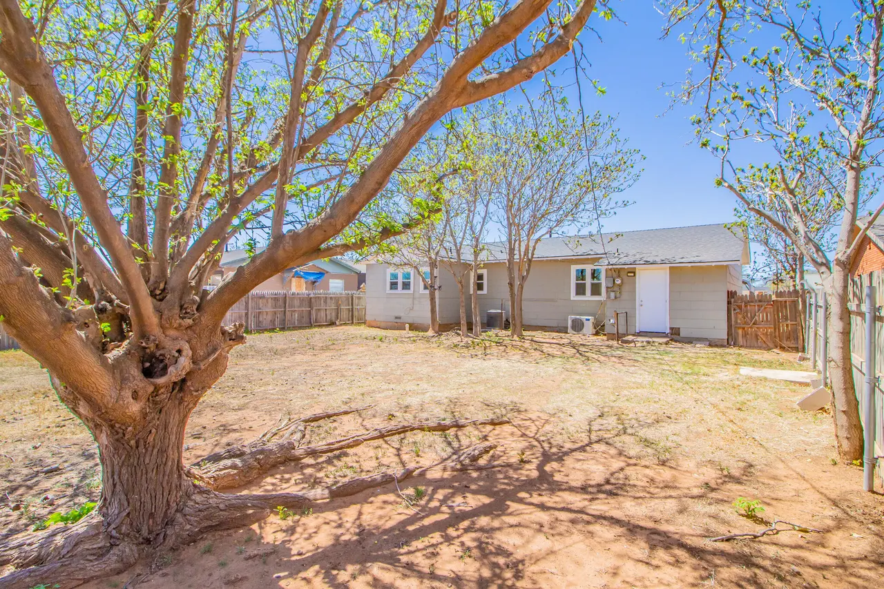 Photo 16 — 133 Elgin Avenue, Levelland, TX 79336