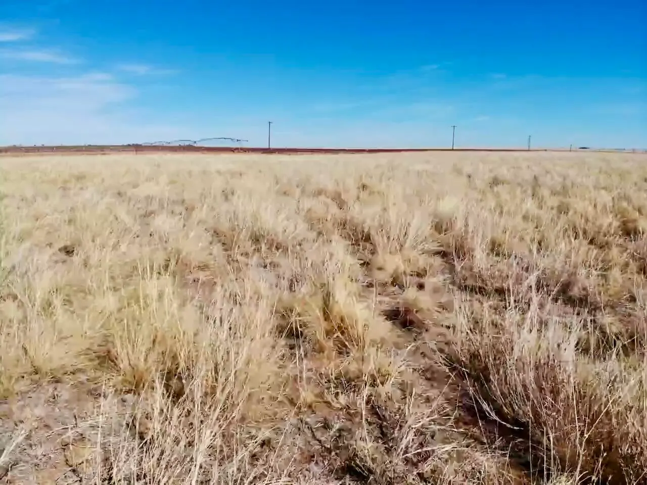 Photo 15 — Co Rd 327 1, Anton, TX 79313