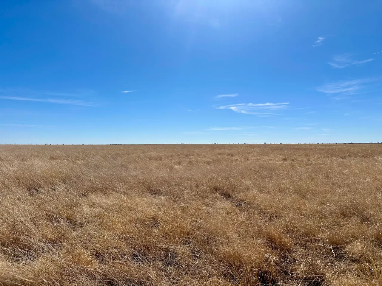 Photo 20 — Co Rd 327 1, Anton, TX 79313