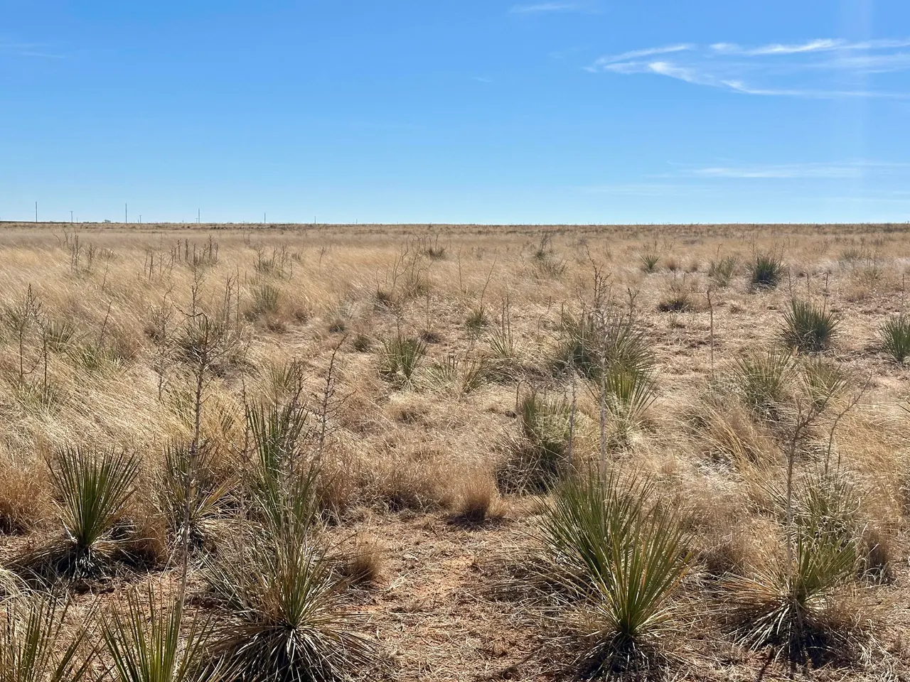 Photo 25 — Co Rd 327 1, Anton, TX 79313