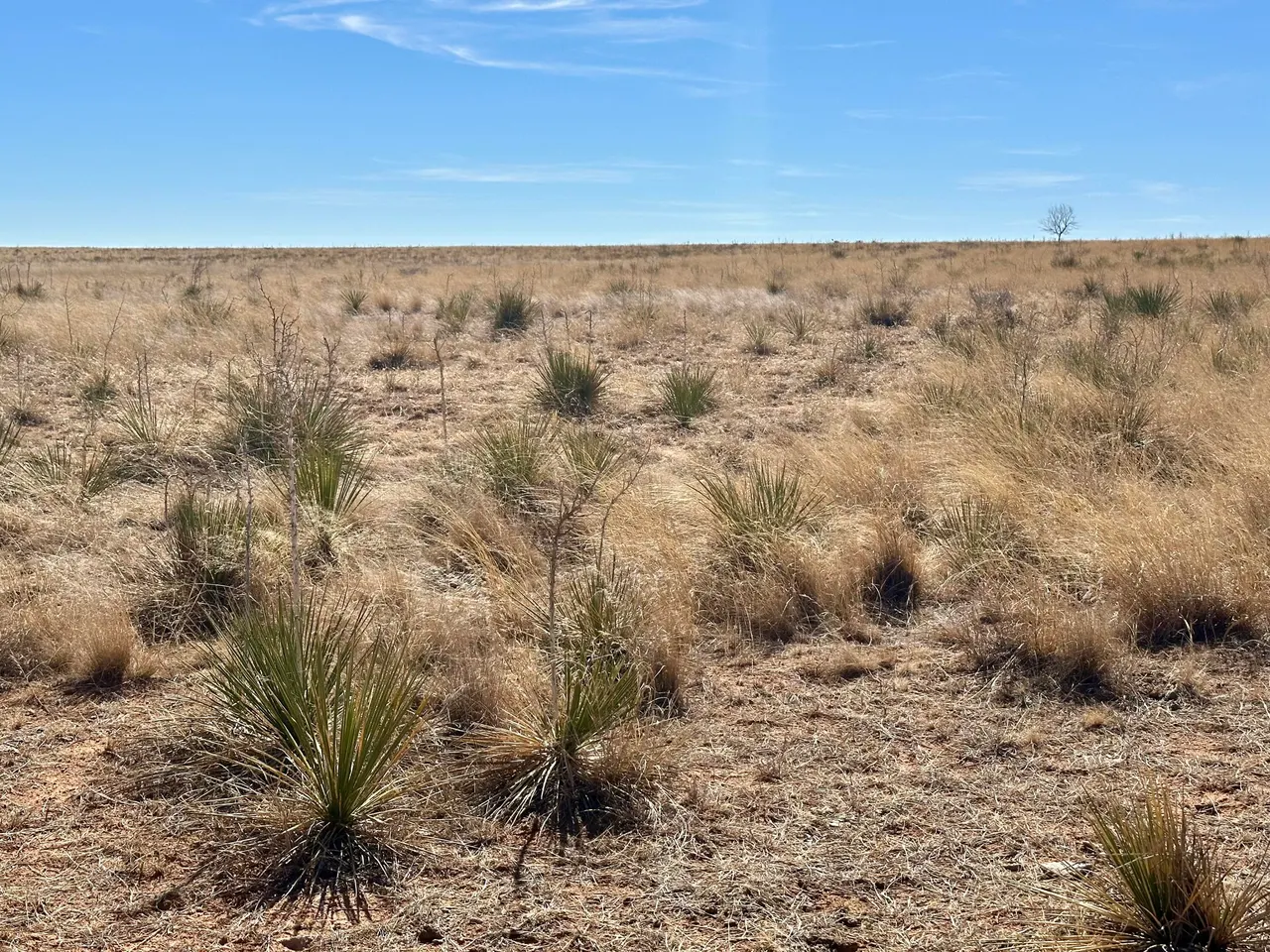 Photo 26 — Co Rd 327 1, Anton, TX 79313