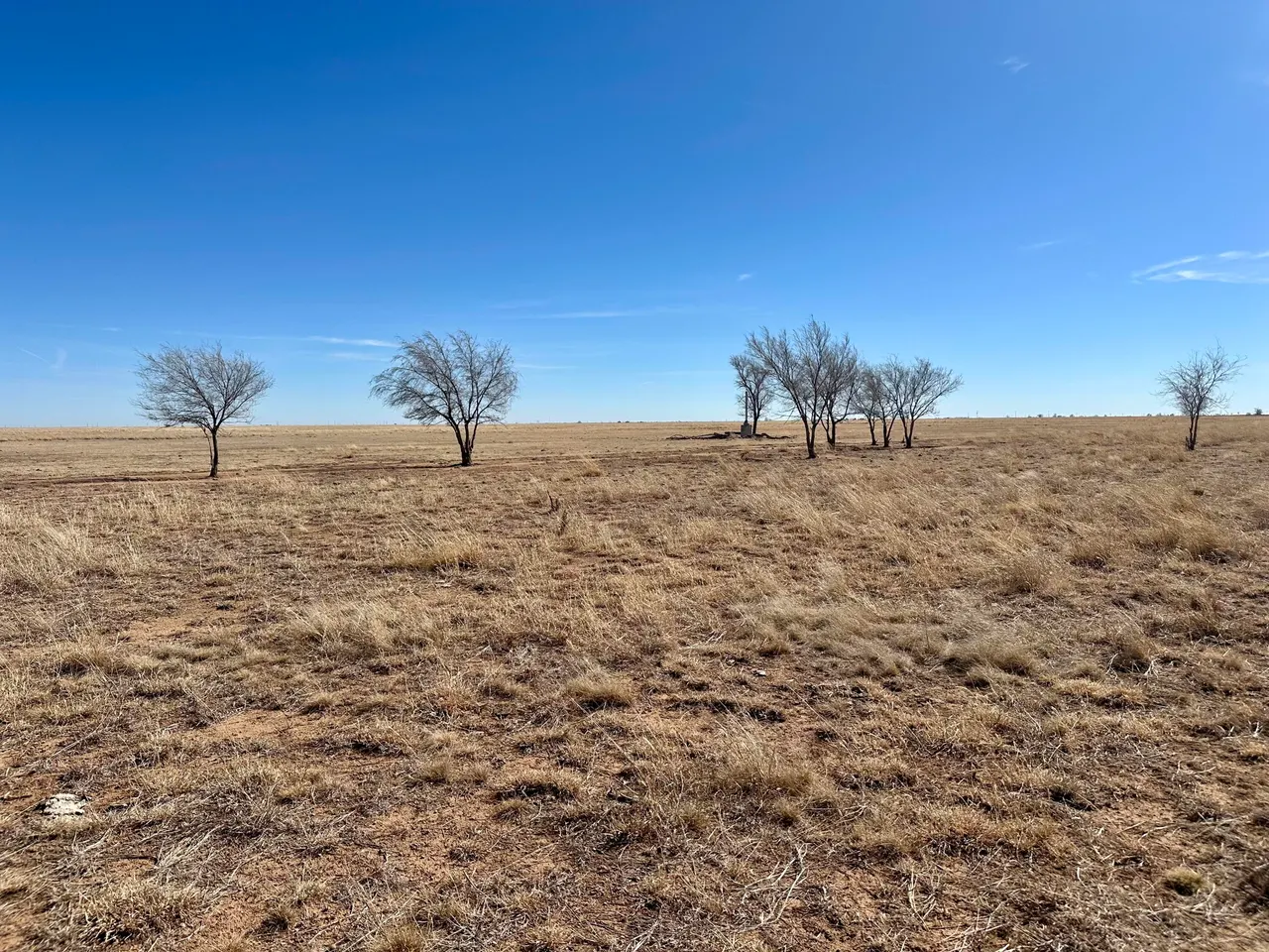 Photo 27 — Co Rd 327 1, Anton, TX 79313