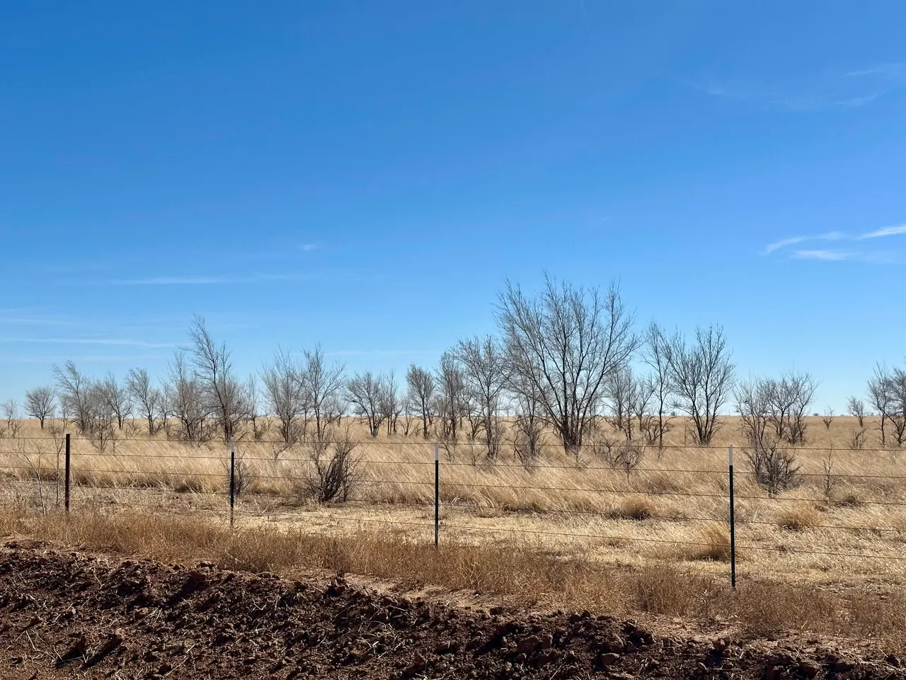 Photo 31 — Co Rd 327 1, Anton, TX 79313