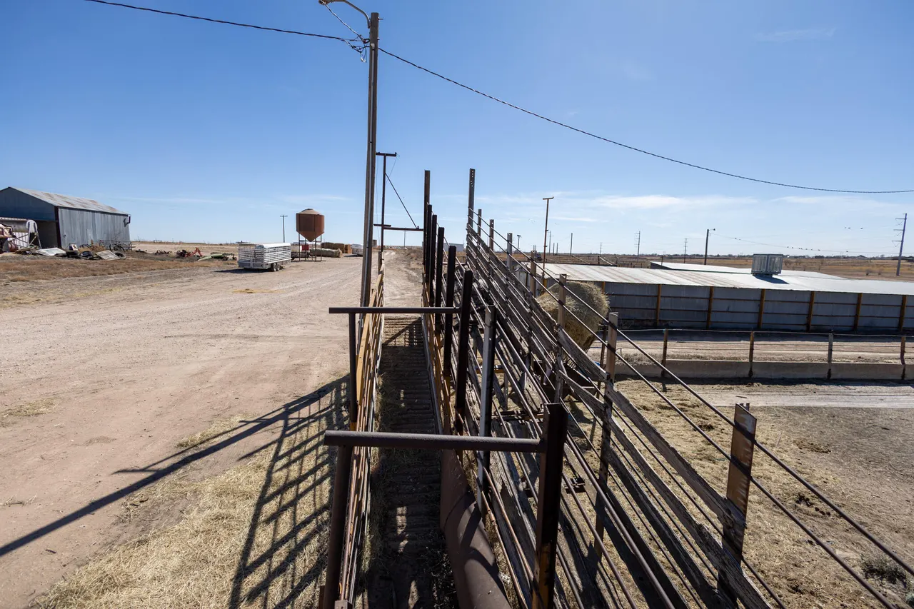Photo 25 — 9501 N Avenue P, Lubbock, TX 79403