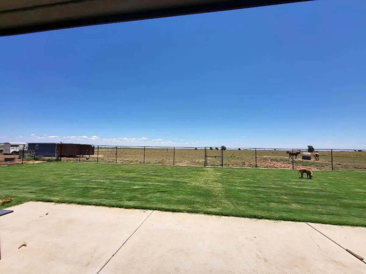 Photo 5 — 16924 N County Road 1200, Shallowater, TX 79363