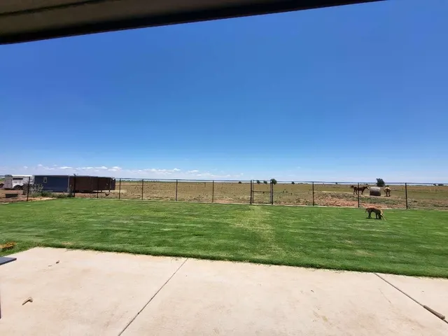 Photo 5 — 16924 N County Road 1200, Shallowater, TX 79363