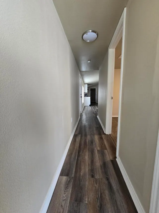 Photo 8 — 8210 County Road 5860, Shallowater, TX 79363