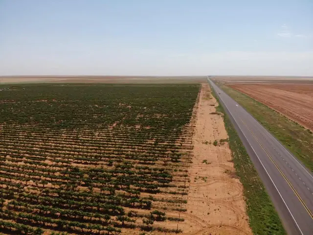 Photo 7 — 1 US-380, Brownfield, TX 79316