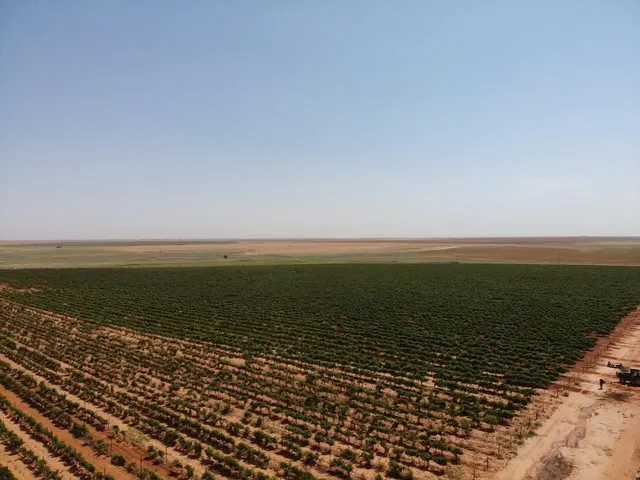 Photo 8 — 1 US-380, Brownfield, TX 79316