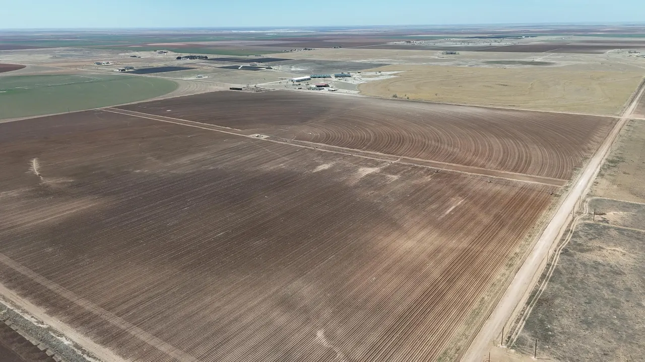 Photo 2 — Co Rd 13, Tahoka, TX 79373