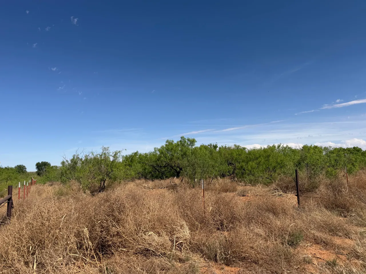 Photo 2 — 1091 County Rd O, Lamesa, TX 79331