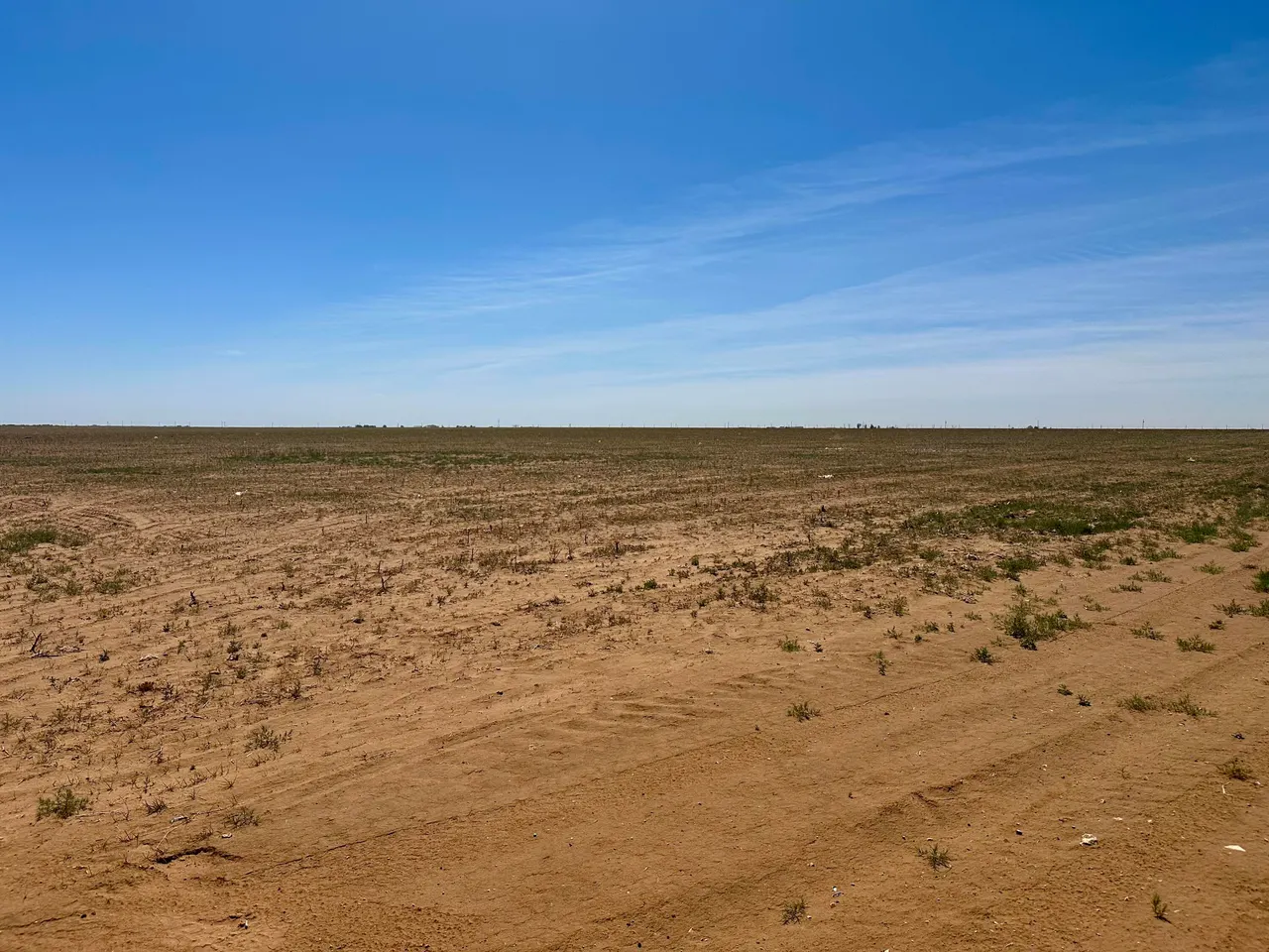 Photo 3 — Rabbit, Ropesville, TX 79358