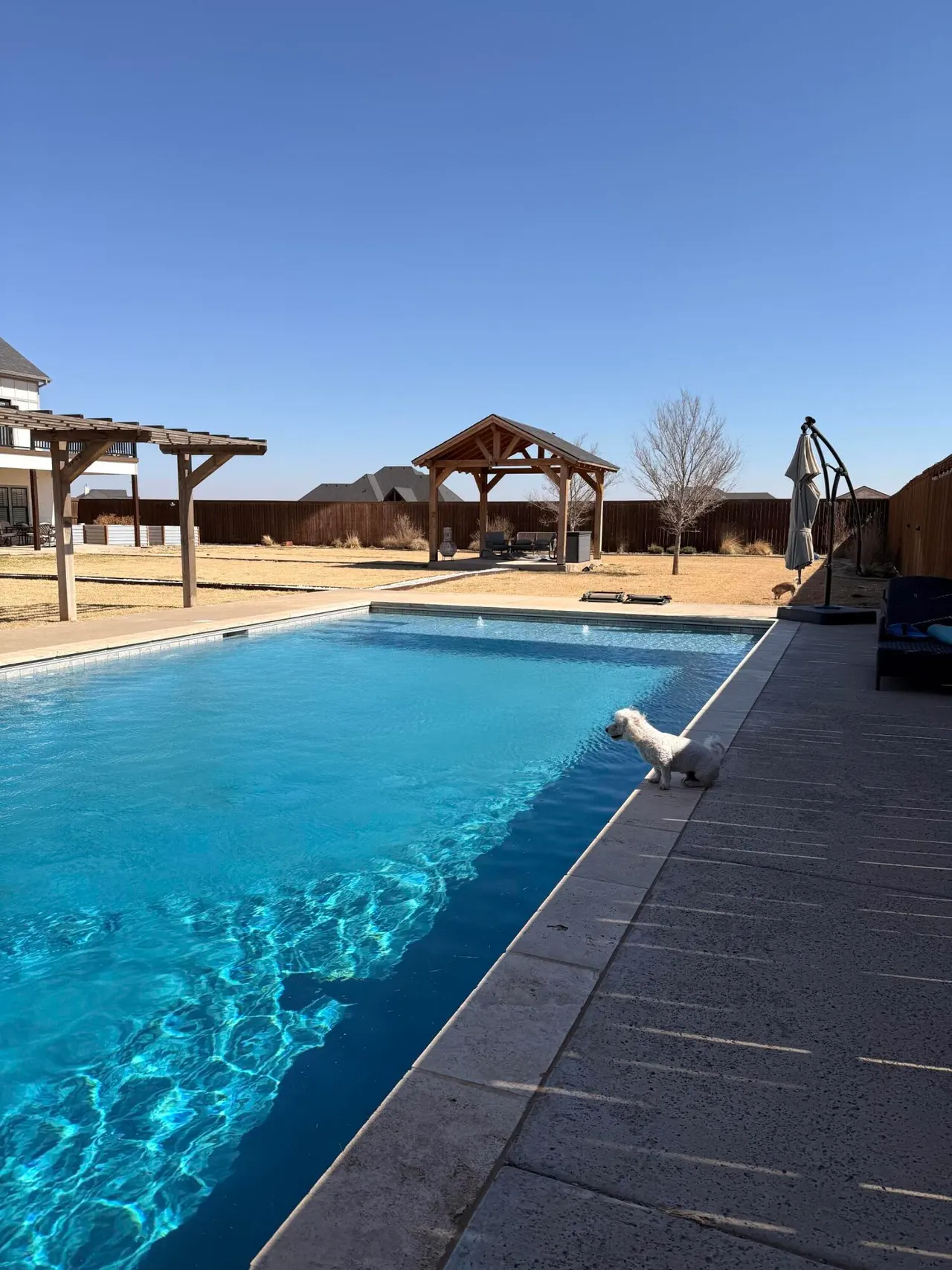 Photo 57 — 1195 Broadview Avenue, New Home, TX 79381