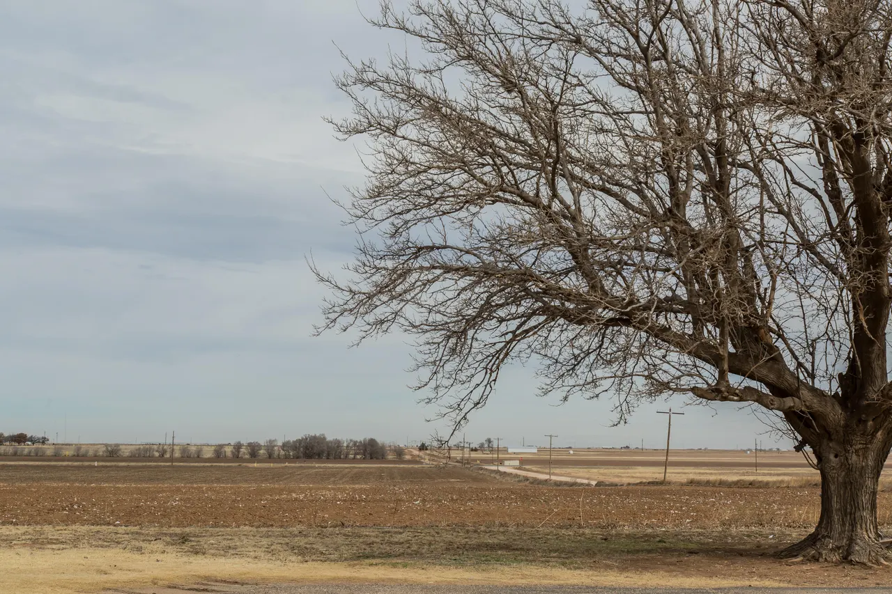 Photo 22 — 930 Sun Road, Plainview, TX 79072
