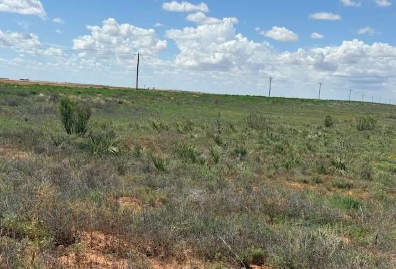 Photo 2 — 0 County Road 430, Brownfield, TX 79316