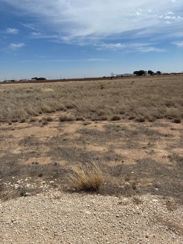 Photo 5 — 133 Bent Tree Road, Levelland, TX 79336