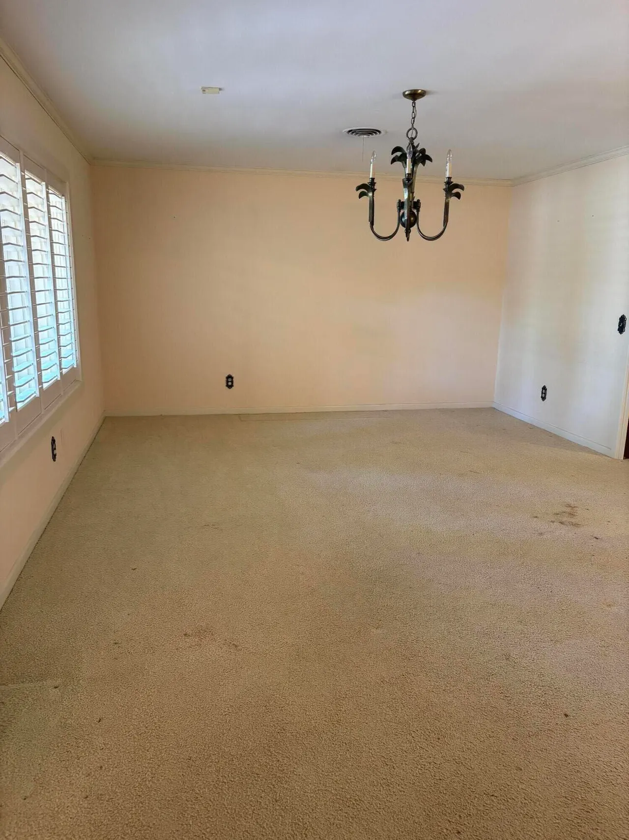 Photo 11 — 1801 E Buckley Street, Brownfield, TX 79316