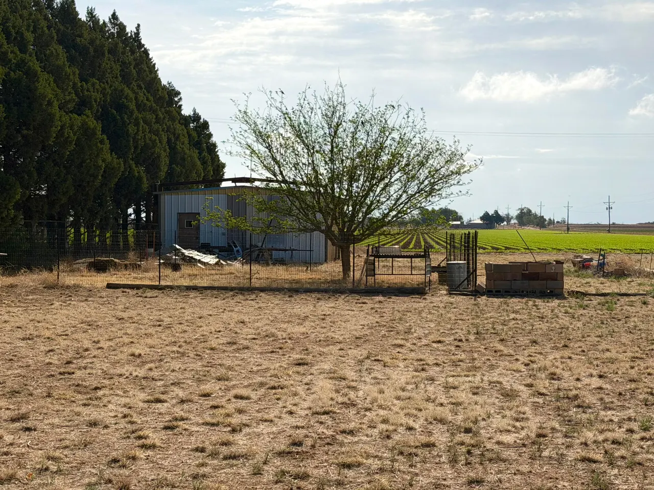 Photo 5 — 10109 CR 3100, Slaton, TX 79364