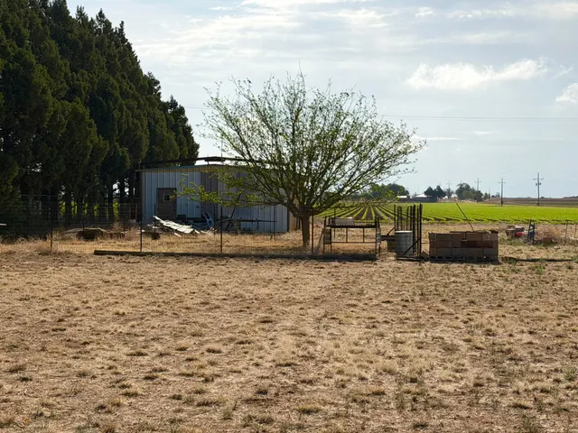 Photo 5 — 10109 CR 3100, Slaton, TX 79364