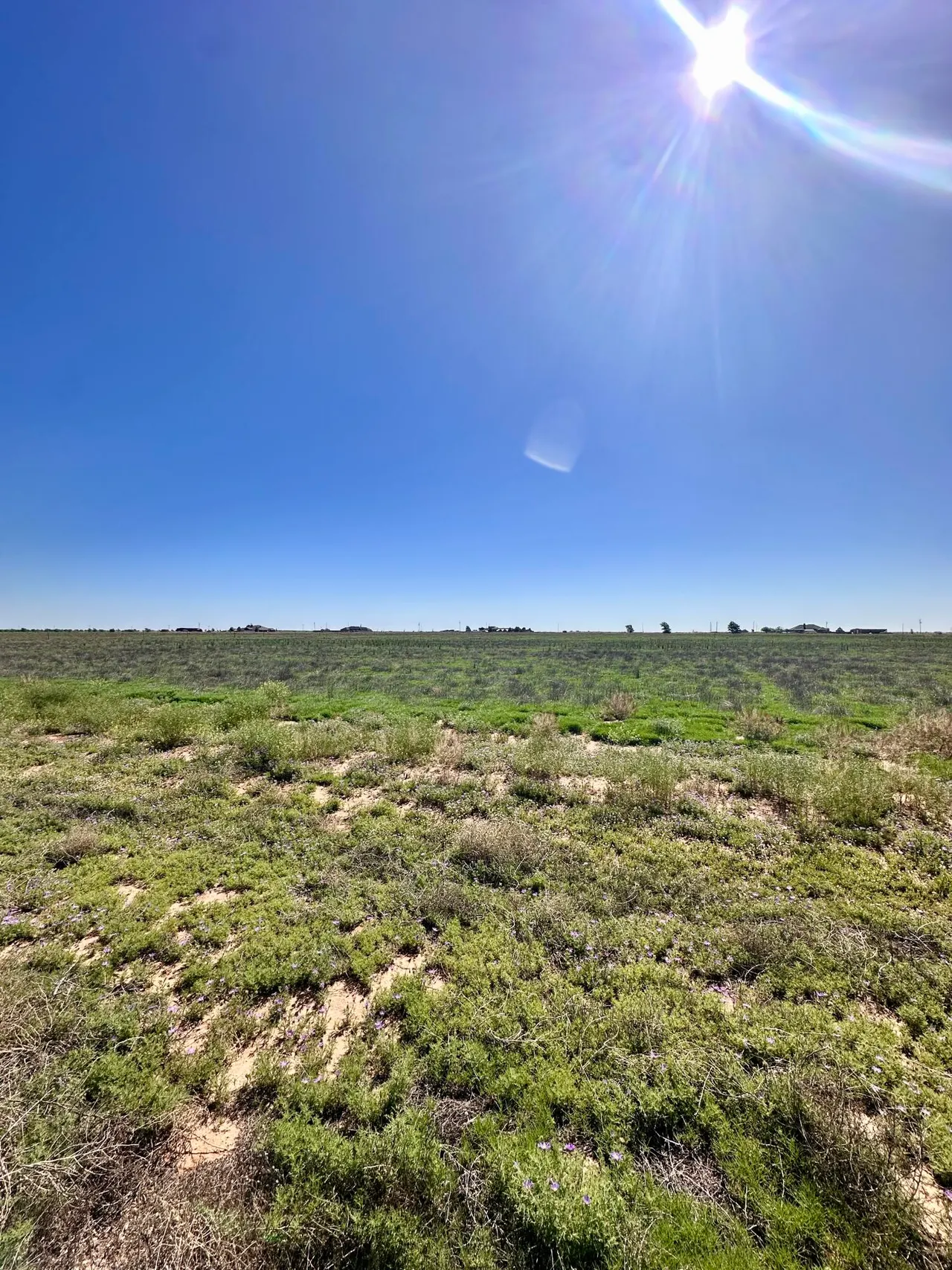 Front exterior — MCMILLAN FARMS, TR 10, AB MCMILLAN FARMS, Levelland, TX 79336