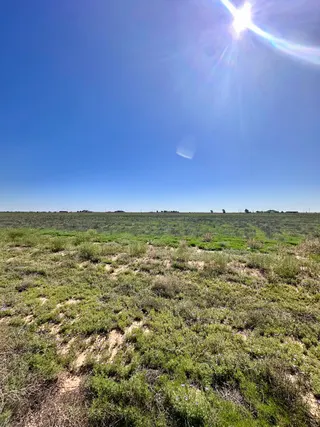 Sold home at MCMILLAN FARMS