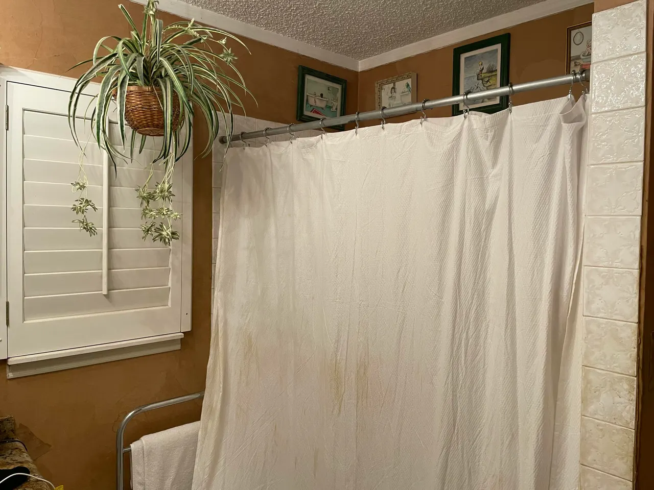 Photo 56 — 3206 21st Street, Lubbock, TX 79410