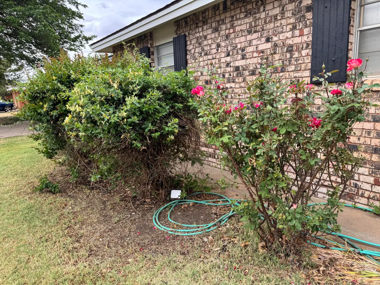 Photo 36 — 1209 Garland Street, Plainview, TX 79072