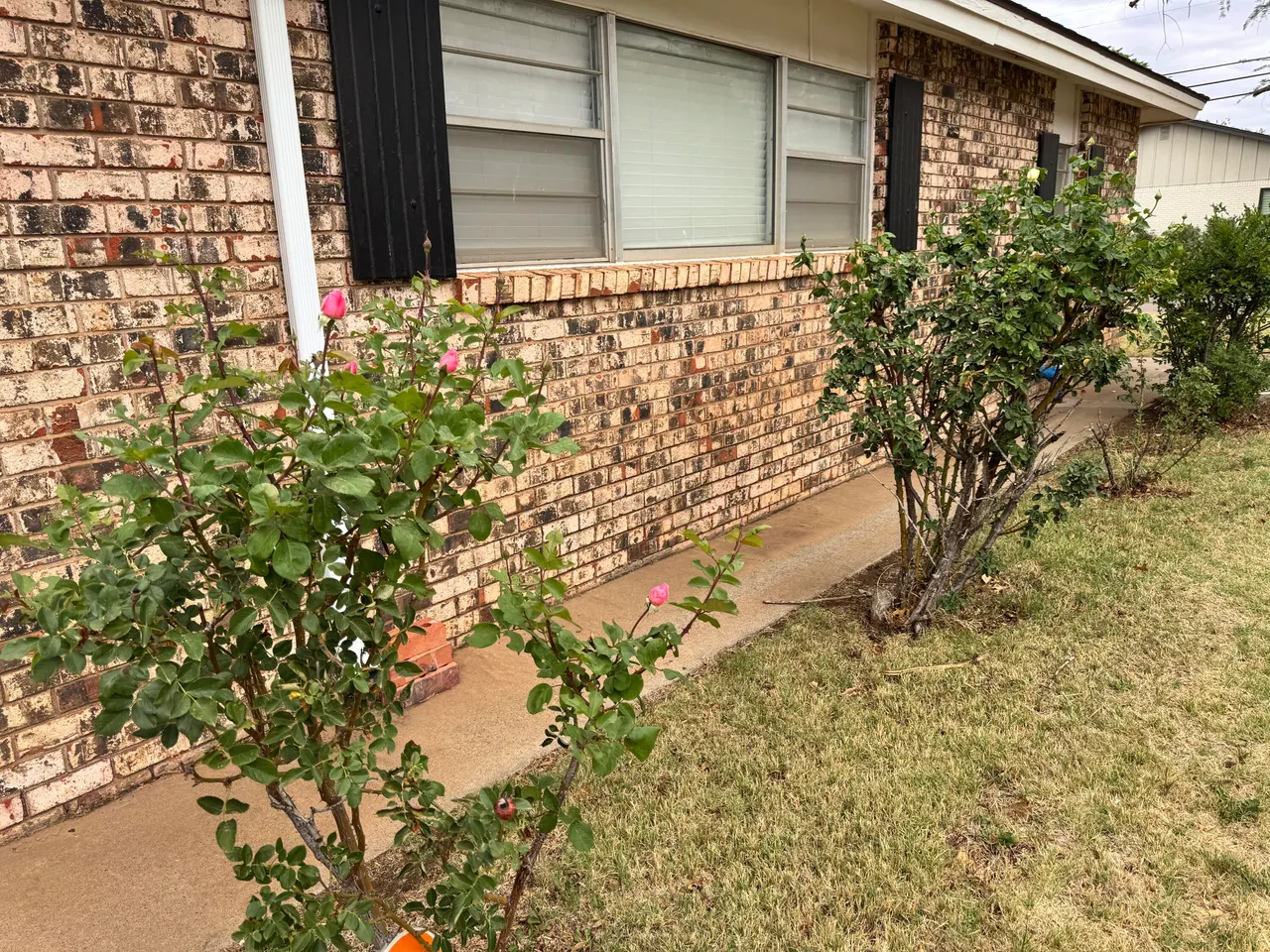 Photo 37 — 1209 Garland Street, Plainview, TX 79072