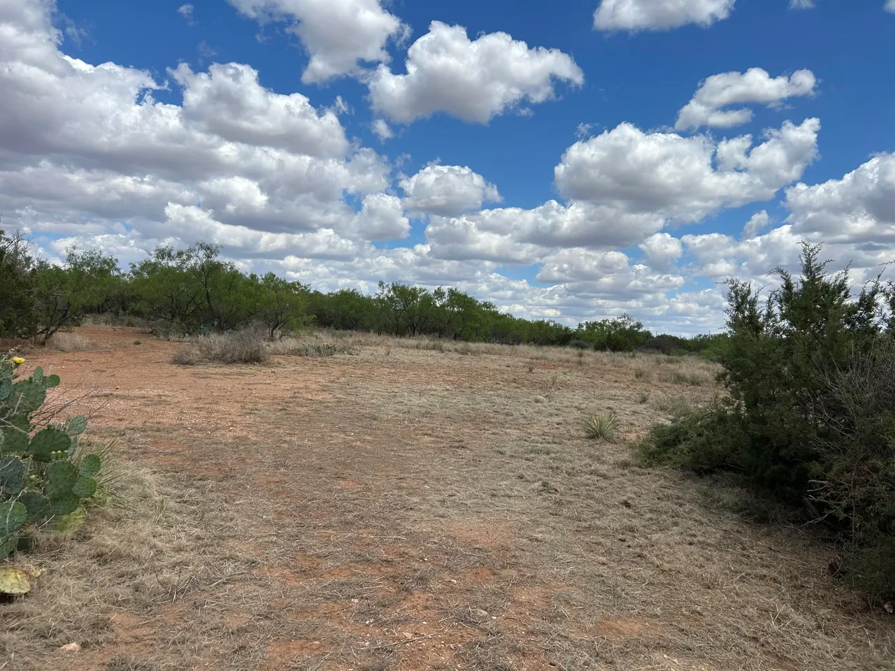 Photo 3 — 72-73 Fagan Road, Snyder, TX 79549