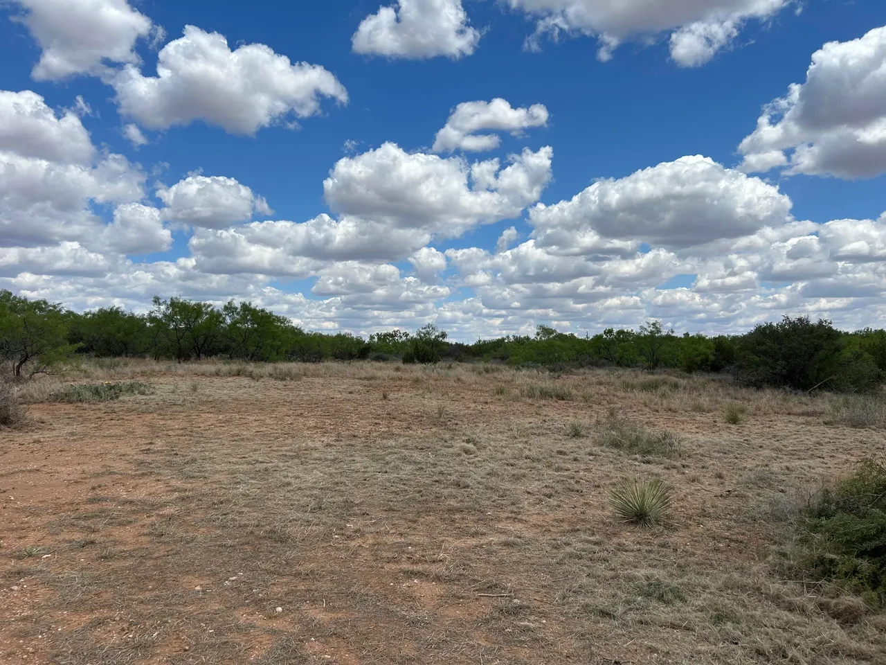 Photo 4 — 72-73 Fagan Road, Snyder, TX 79549