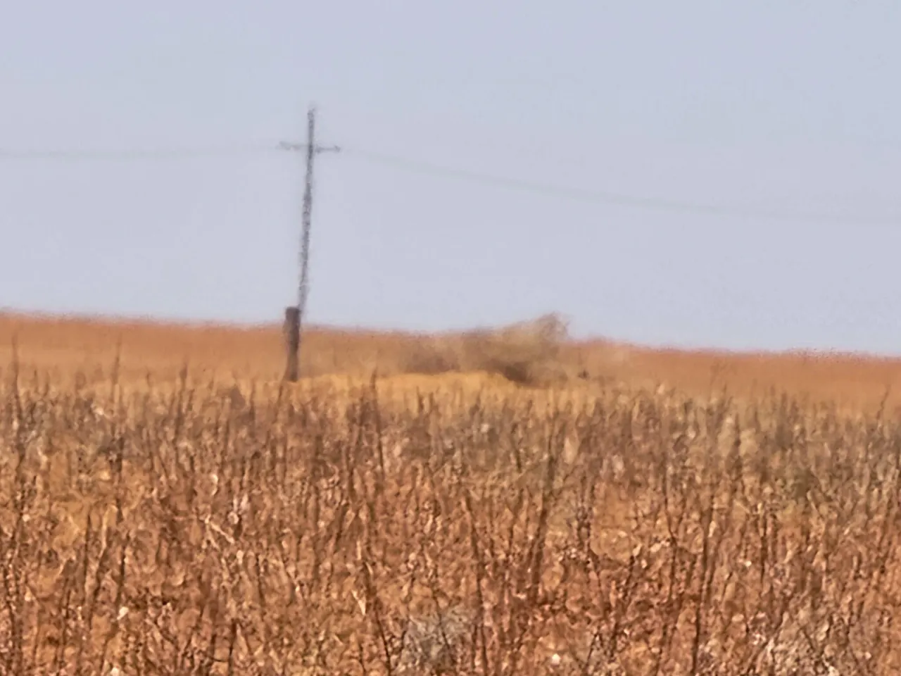 Photo 2 — 0 CR 345, Meadow, TX 79345