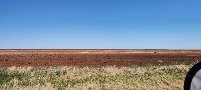 Photo 6 — 0 CR 345, Meadow, TX 79345