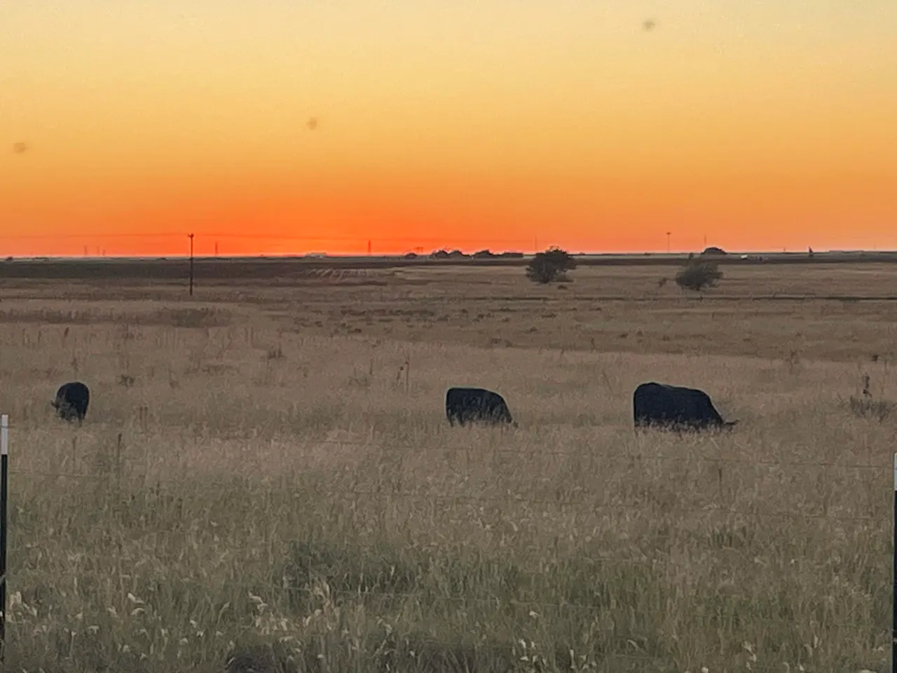 Photo 13 — 11210 N F M 400, Idalou, TX 79329