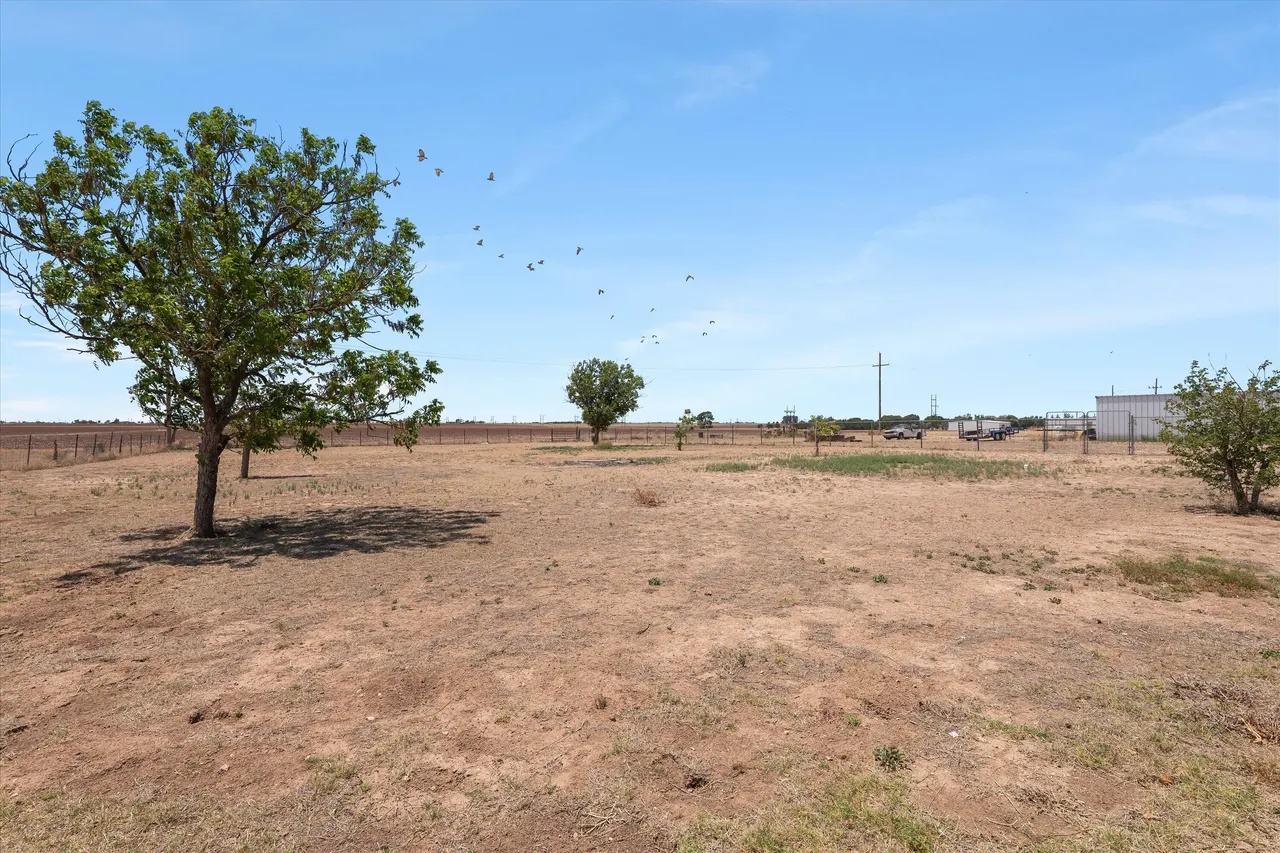 Photo 29 — 881 N U.S. Hwy 385, Levelland, TX 79336