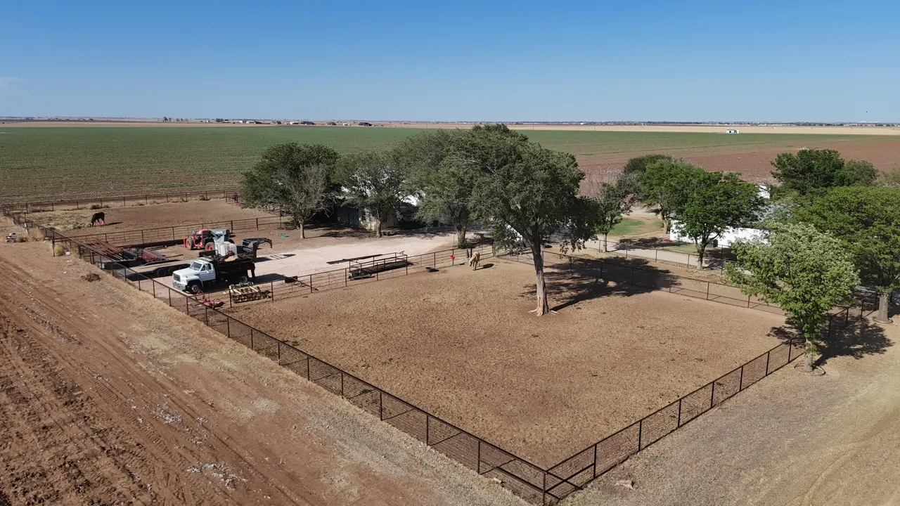 Photo 54 — 11381 F M 2641, Shallowater, TX 79363